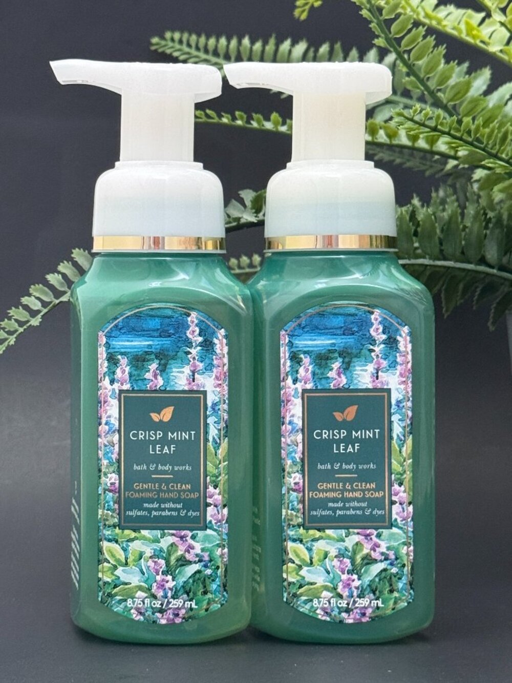 Bath & Body Works BBW Crisp Mint Leaf Gentle Foaming Hand Soaps X 2